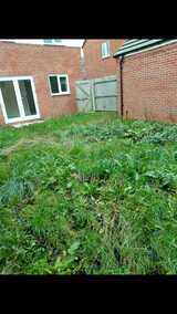 TKL Birmingham Gardener, Harborne