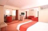  Golden Tulip Times B-dul Decebal, no.19 