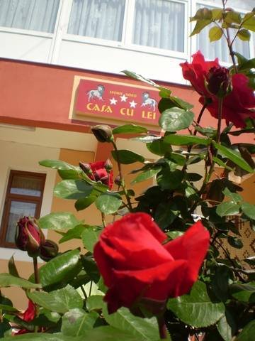  Profile Photos of Vila CASA CU LEI *** Eforie Nord & Restaurant PARC Sud Mamaia Mesteacanului 20B - Photo 47 of 60