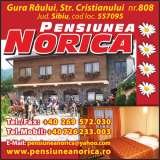 Pensiunea Norica****, Gura Raului