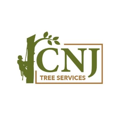  Profile Photos of CNJ Tree Services 0/2 139 Yorkhill Street - Photo 1 of 1