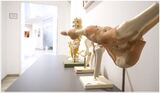  OrthopÃ¤die Zentrum Bonn - Dr. J. Pieczykolan & Kollegen Bornheimer StraÃŸe 135-137 