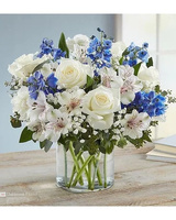 Oakbrook Florist, Mountain View