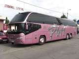 pletl_tm, Timisoara