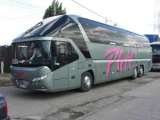 pletl_tm, Timisoara