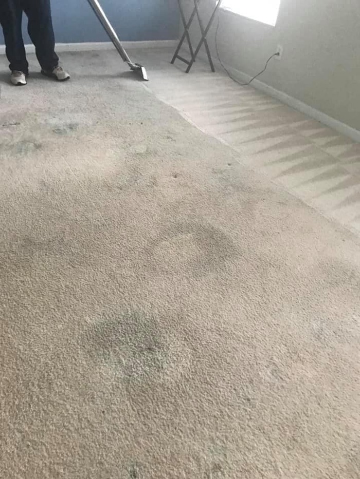  Gallery of RedLine Cleaners Charlotte - Photo 2 of 6