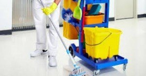  Profile Photos of Cleaners Horwich 58 Evergreen Ave - Photo 1 of 1