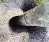 Vacuum Dig, Fort Myers