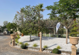 GARDEN MAINTENANCE, Dubai