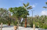 GARDEN MAINTENANCE, Dubai