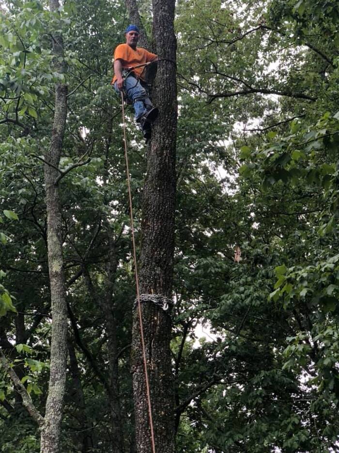  New Album of JChavez Flower Mound Tree Service 3900 River Walk Dr #4103 - Photo 2 of 3