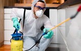 Charleston Pest Control, Charleston