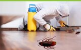  Topline pest 21 Panamount St NW 