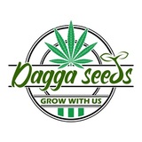 Dagga Seeds, St. John's,