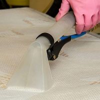  Profile Photos of Dynamik Carpet Cleaning 1550 S Gateway Rd #326 - Photo 4 of 6