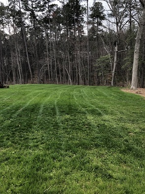  New Album of Distinct Lawns 110 Sapphire Court - Photo 3 of 3