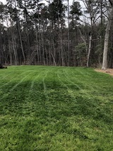 Distinct Lawns, Franklinton