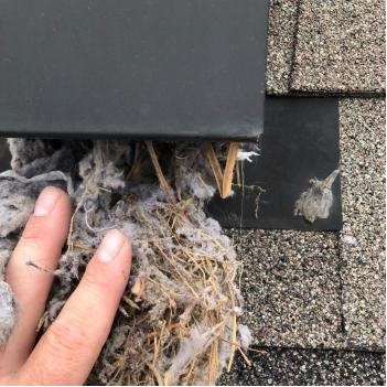  Profile Photos of 360 Dryer Vent Cleaning 2273 Northwest Summerfield Drive - Photo 2 of 3
