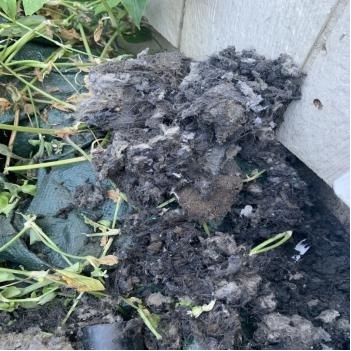  Profile Photos of 360 Dryer Vent Cleaning 2273 Northwest Summerfield Drive - Photo 3 of 3