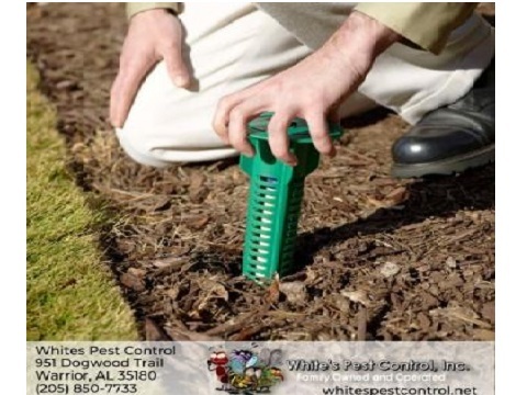  Profile Photos of Whites Pest Control 951 Dogwood Trail - Photo 2 of 4