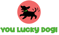  Profile Photos of You Lucky Dog 2911 Dixwell Avenue, Unit B-9 - Photo 1 of 1