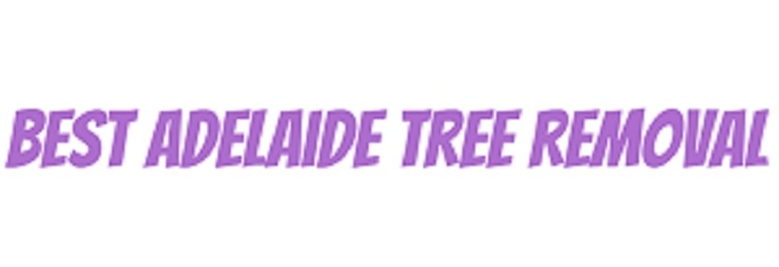  Profile Photos of Best Adelaide Tree Removal 10a Charlotte Terrace - Photo 1 of 1