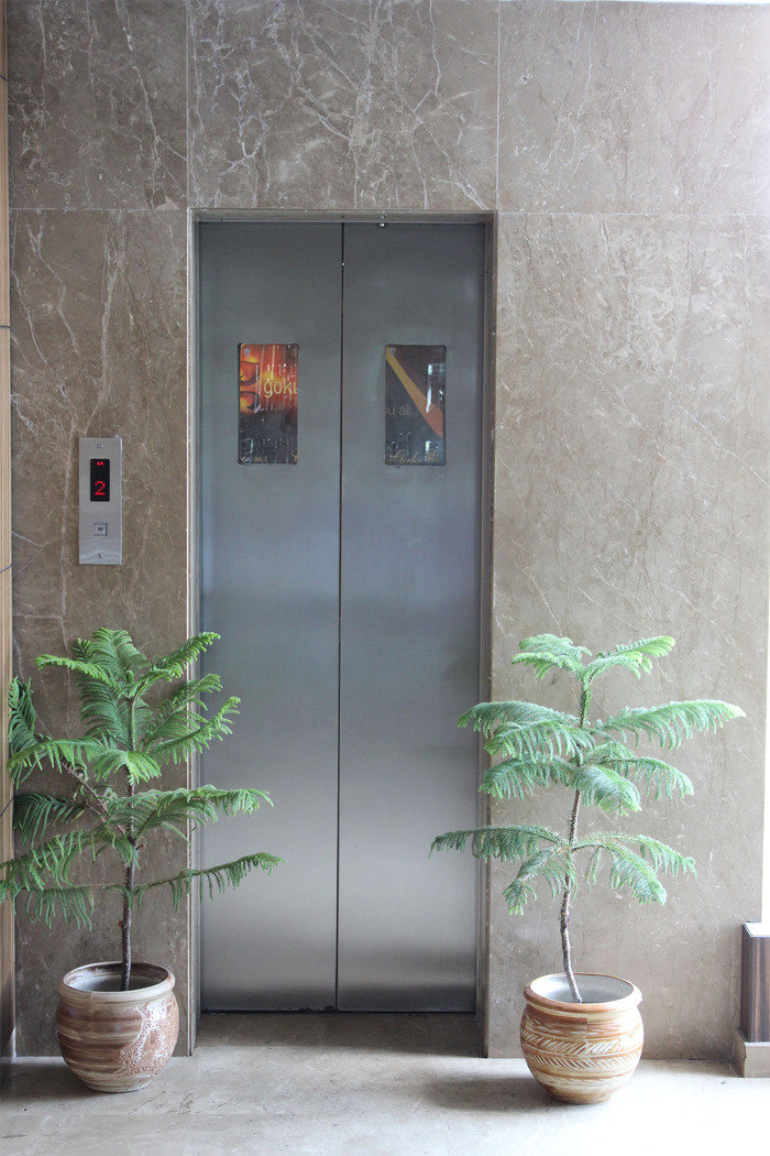small vision L.T. Elevator Showcase of L.T. Elevator Pvt. Ltd. 3 Gobindo Auddy Road, Alipore, Kolkata - 700027 - Photo 12 of 18