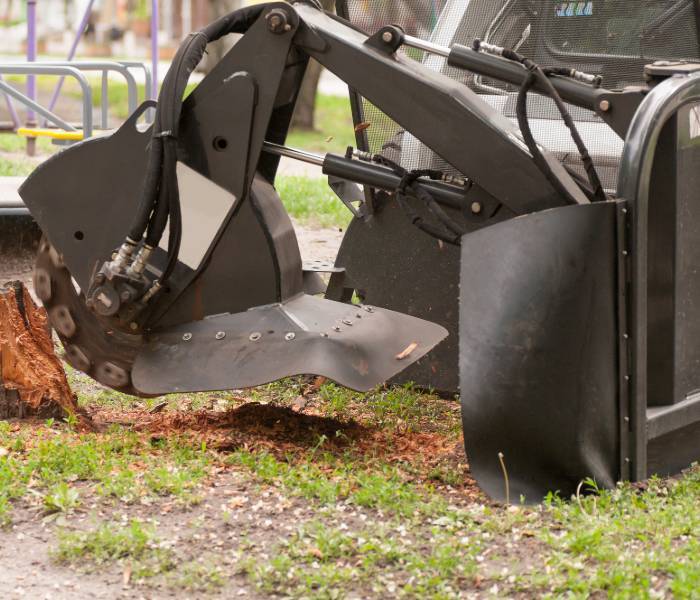  Profile Photos of Mobile Tree Removal Services 615 Dauphin St #206 - Photo 2 of 9