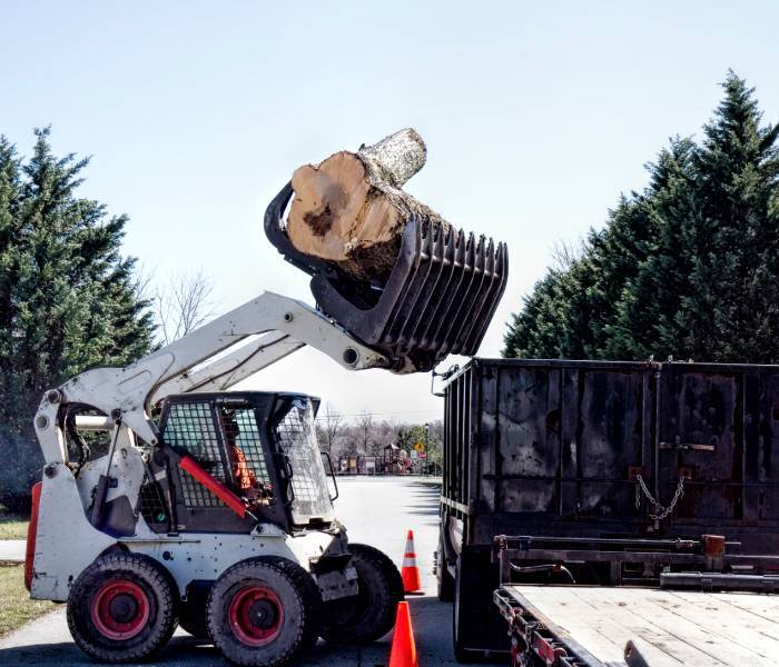  Profile Photos of Mobile Tree Removal Services 615 Dauphin St #206 - Photo 6 of 9