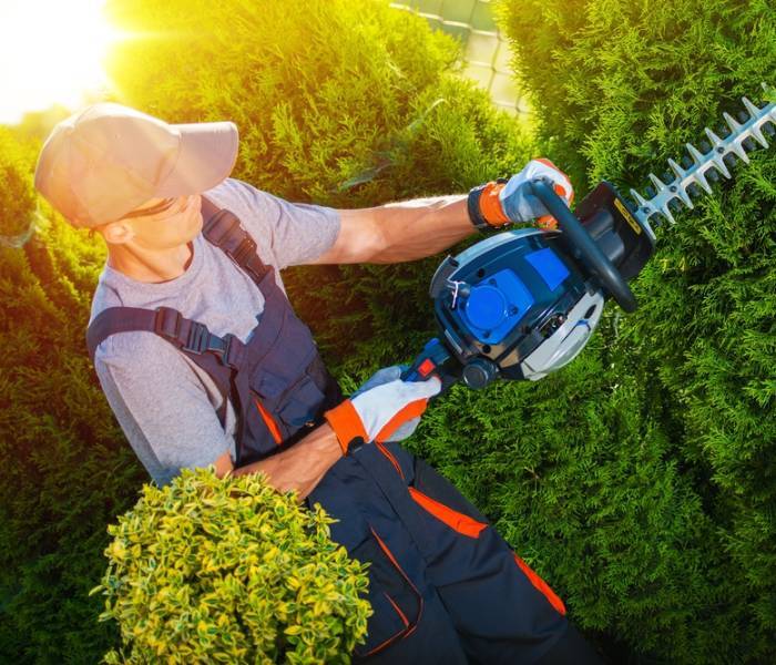  Profile Photos of Mobile Tree Removal Services 615 Dauphin St #206 - Photo 8 of 9