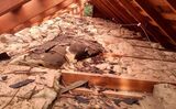 Hunter Attic & Home Insulation Service - Katy Tx, Katy