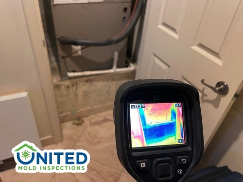  New Album of United Mold Inspections 398 E Dania Beach Blvd #300 - Photo 1 of 4