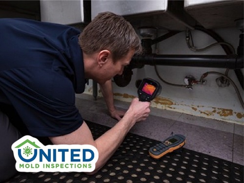  New Album of United Mold Inspections 398 E Dania Beach Blvd #300 - Photo 2 of 4