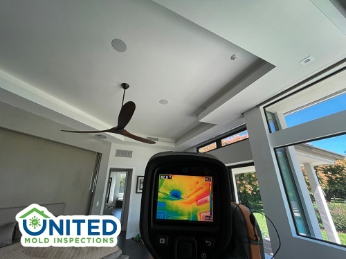 New Album of United Mold Inspections 398 E Dania Beach Blvd #300 - Photo 3 of 4