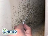  United Mold Inspections 398 E Dania Beach Blvd #300 