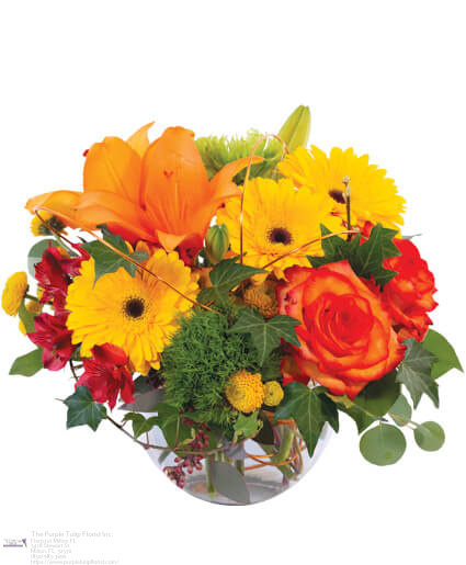  New Album of The Purple Tulip Florist Inc. 5418 Stewart St - Photo 1 of 4