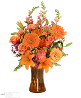 The Purple Tulip Florist Inc., Milton