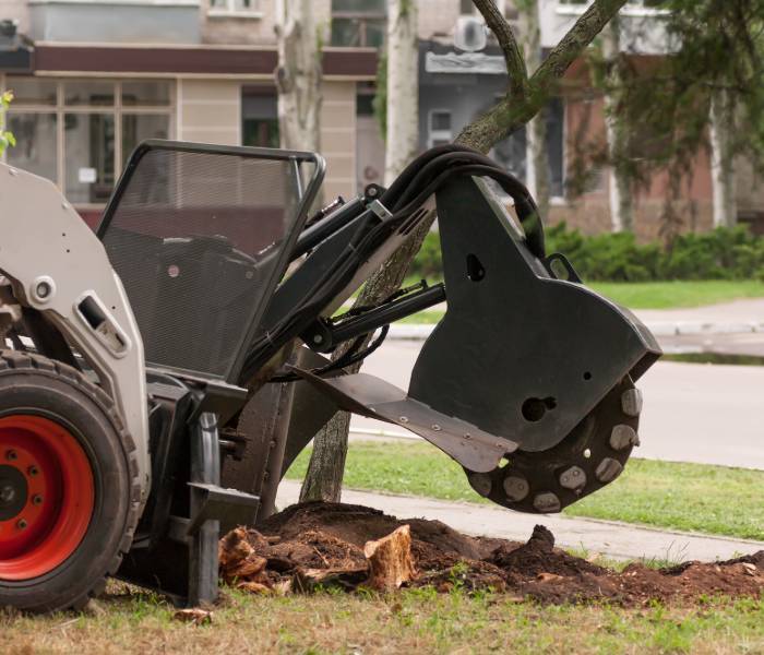  Profile Photos of Taunton Tree Removal Service 59 Main St - Photo 7 of 10