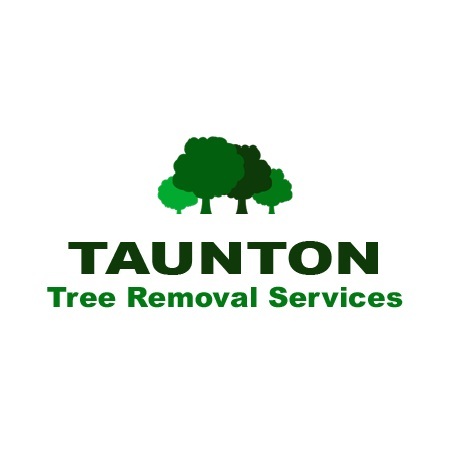  Profile Photos of Taunton Tree Removal Service 59 Main St - Photo 8 of 10