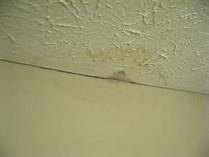  Profile Photos of Flood Damage Restoration Hobart 6/1 Collins Street - Photo 1 of 1
