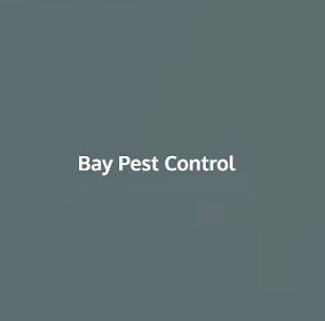  Profile Photos of Bay pest control 141, North Road - Photo 1 of 1