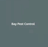 Bay pest control, Carnforth