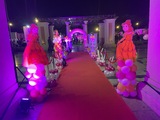 balloon decoration, Birthday Planner Company in Delhi, New Delhi