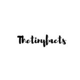  The Tiny Facts South Martel Avenue 