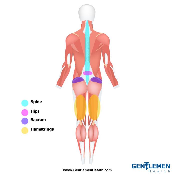  Profile Photos of Gentlemen Health & Wellness N/A - Photo 5 of 14