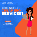 SERP SHINE, Jaipur