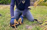 Quest Termite & Pest Services, Estero