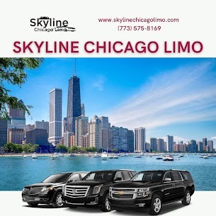  New Album of Skyline Chicago Limo 1711 Morse Ave - Photo 4 of 12