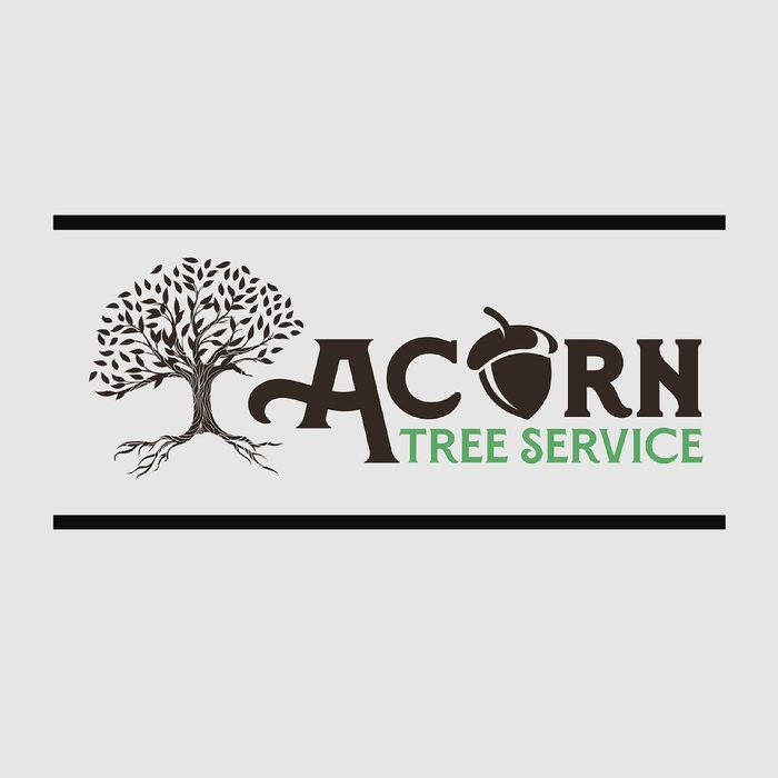  Profile Photos of Acorn Tree Service 1727 12th St SE - Photo 1 of 1