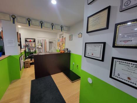  New Album of Limitless Canines 7758 Twin Oaks Rd. - Photo 2 of 3